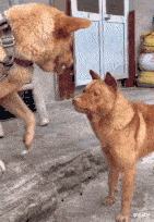 书法|“去领导办公室，看不懂的书法不要乱读，更不能笑！除非忍不住...”