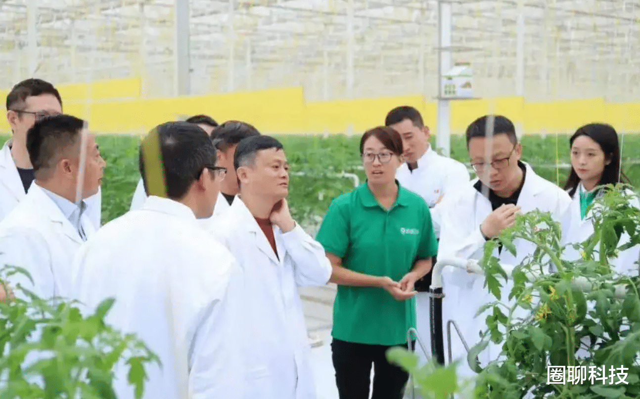 ai|马云被联合起诉，美市场又要闹什么“幺蛾子”？