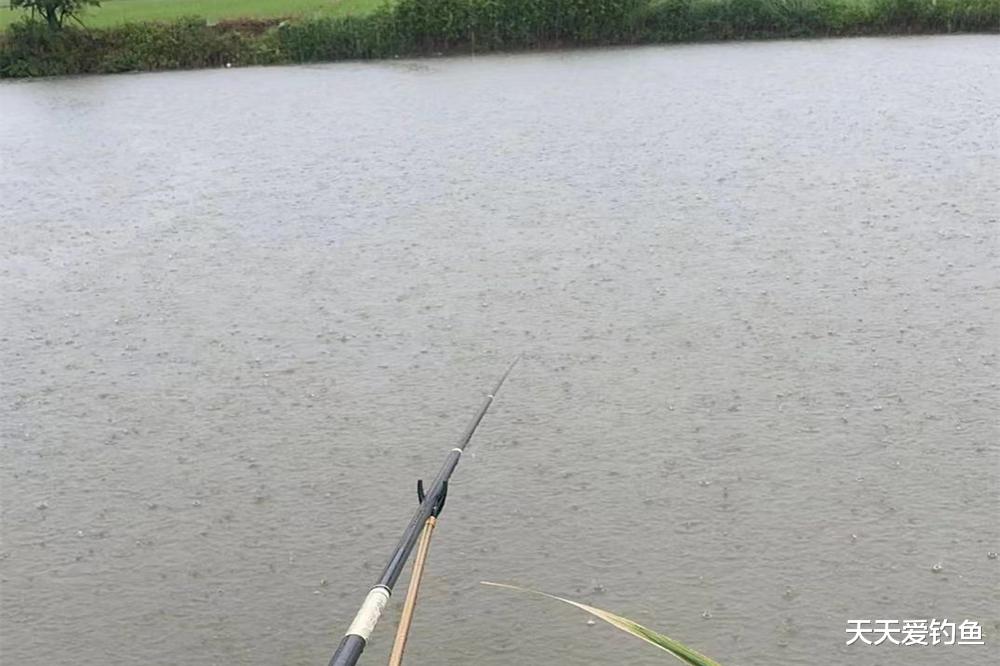 农村奇闻|仲秋野钓,这2种天气大鱼吃口猛,想不爆护都难