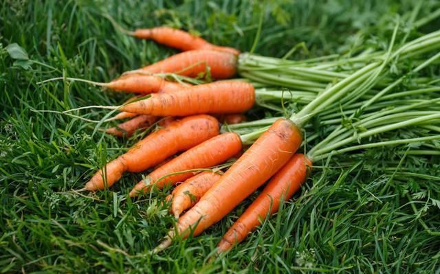 衰老|多吃能去皱的食物,不是牛奶,每天食用,皮肤饱满,人更显年轻