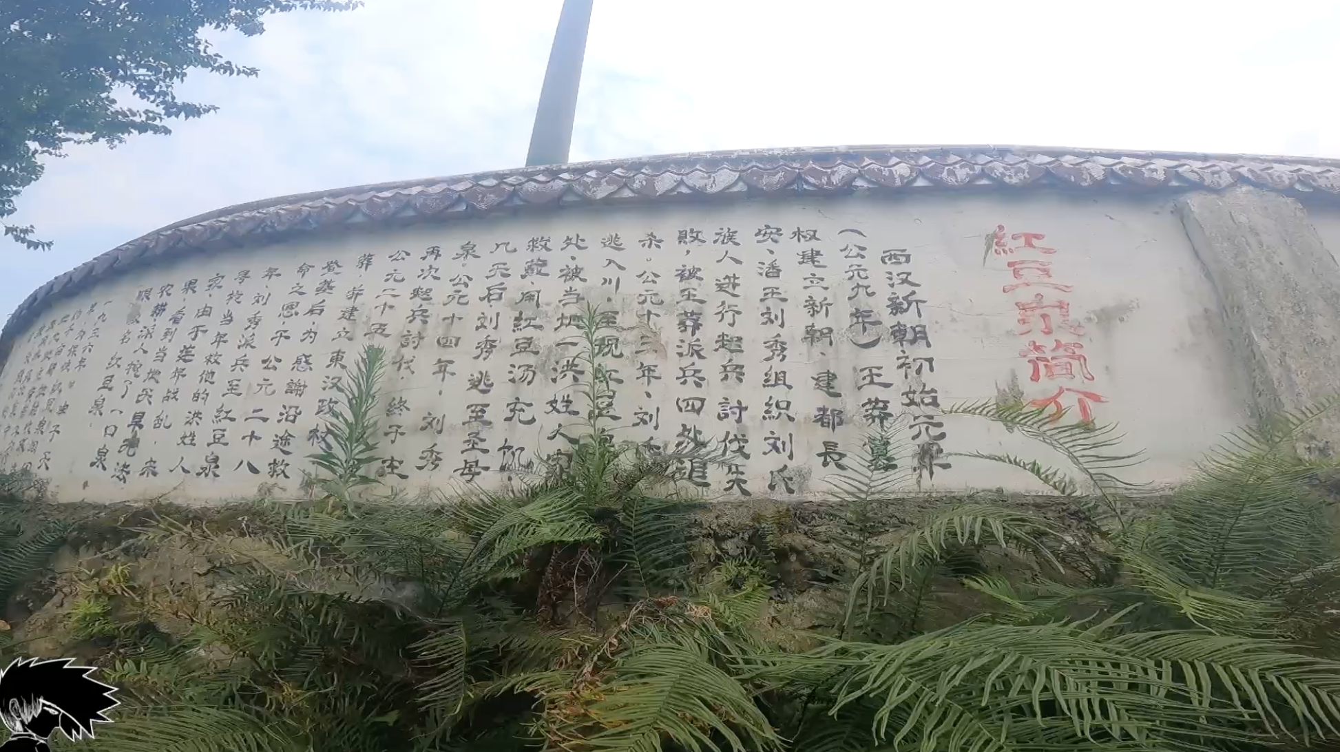 柳树|房车自驾旅行打卡两千年的红豆泉 跳水姿势要帅 高温下游泳真不错