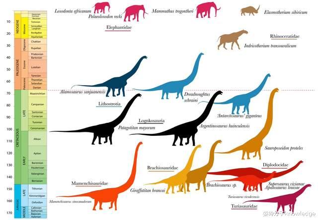 恐龙也是直立行走,为何没进化成智慧生物?再给6600万年会怎样