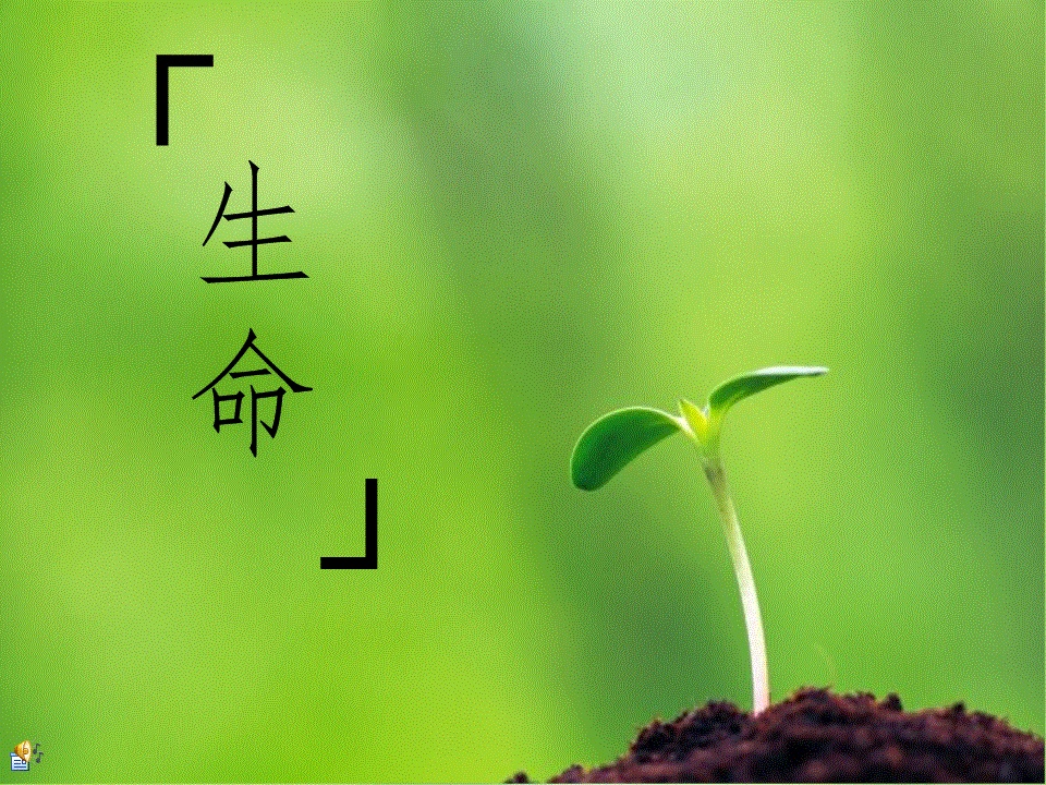 金星在很久以前是否存在过文明或者生命