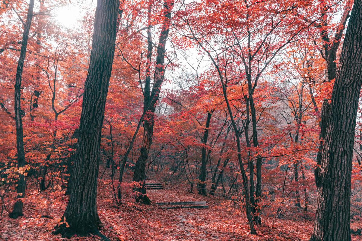 龙门峡|郭进拴|神游关门山