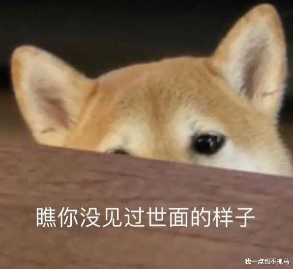 英雄岁月之王牌部队|今天,全网都在催她离婚