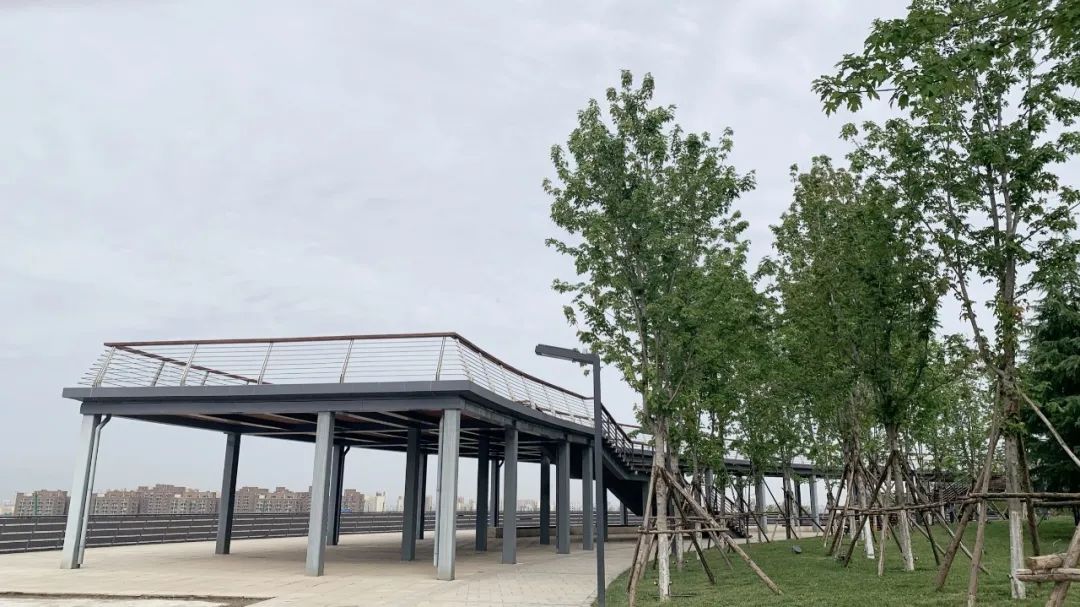 露营|夜景美爆!西安揽月阁的颜值可能一直都被低估了