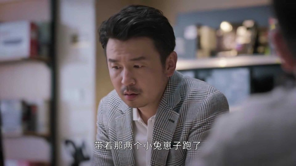 相逢时节|《相逢时节》简家全军覆没，简宏成被捕，简敏敏破产，简宏图最惨