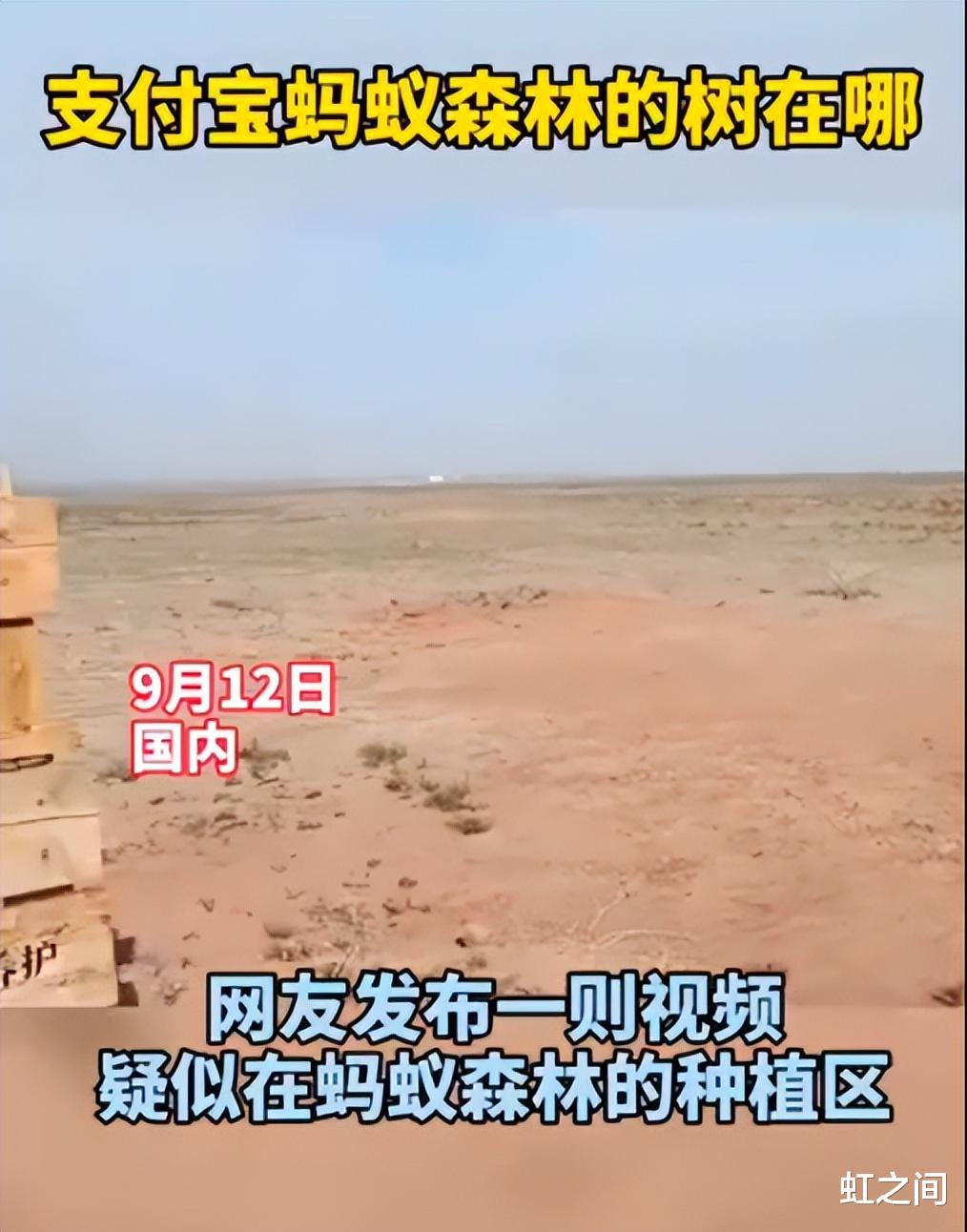 阿里巴巴|马云承诺每年种的1亿棵树，现在怎么样了？