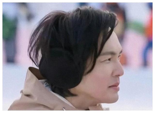年纪一大把,还在脸上动手脚,这些中年男星是喝了什么“迷魂汤”