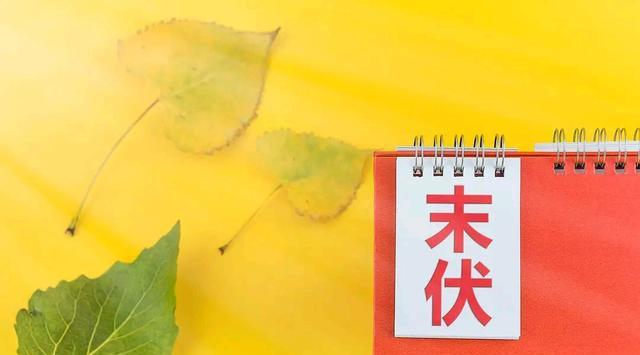 空腹|“末伏吃三宝，健康跑不了”，末伏三宝都是啥？你知道吗？