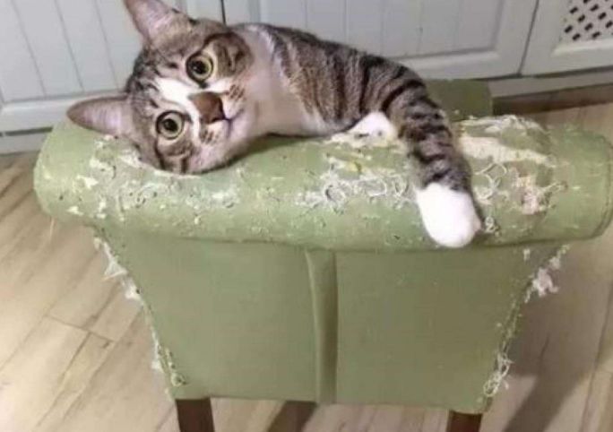 这10件鸡肋家居用品,买了就藏灰,建议大家三思,别再交智商税了