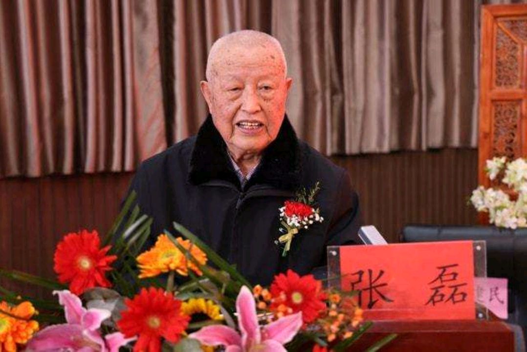 医生|名医张磊,主张“方精、药少、量小、效奇”,被称为“人民医生”