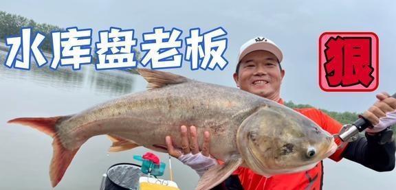 |邓刚的成功，归结于他的好运气？