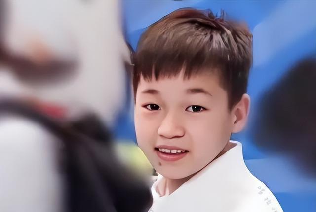 全红婵该小心，张雨霏揭秘丢冠原因，陈若琳该出手避免重蹈覆辙