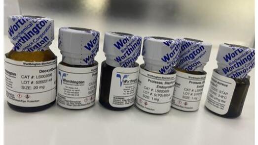 Worthington弹性蛋白酶&透明质酸酶简介