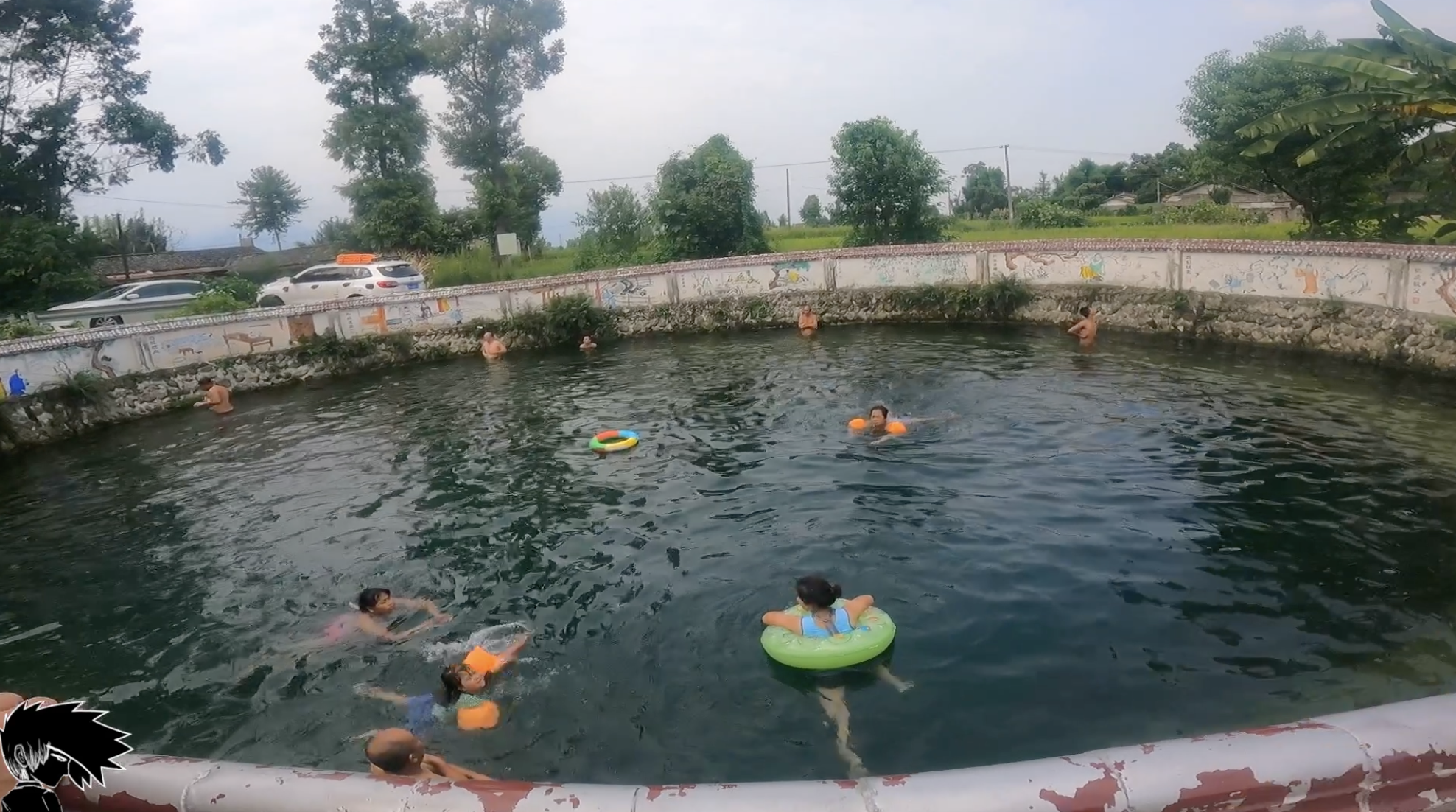 柳树|房车自驾旅行打卡两千年的红豆泉 跳水姿势要帅 高温下游泳真不错