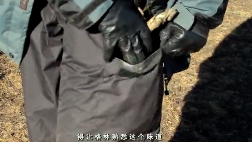 |“中国第一狼女”李微漪：12年前养狼当“儿子”，结局催人泪下