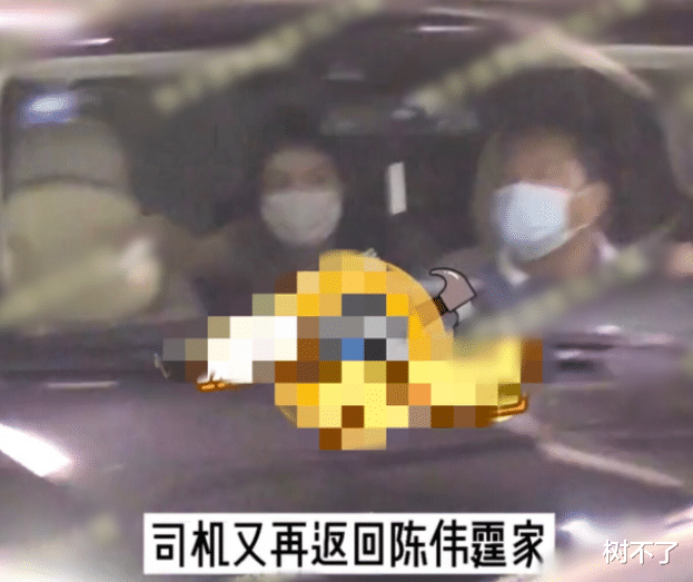 陈伟霆|怀孕了？还想逼婚陈伟霆？