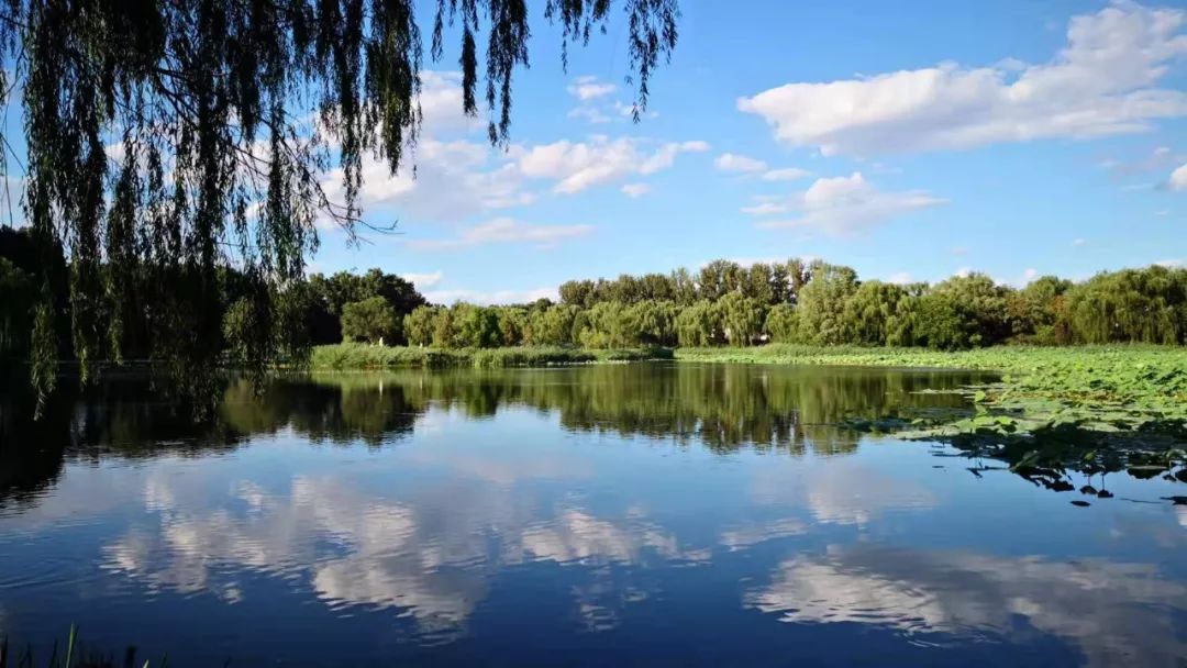 射手座|不要欺负单位中的老实人