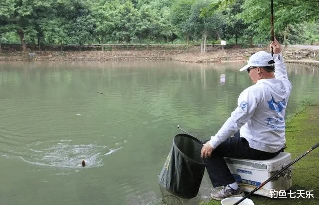 立夏|年收入20万,钓鱼也能致富?网红钓手的赚钱逻辑,靠的不是几条鱼