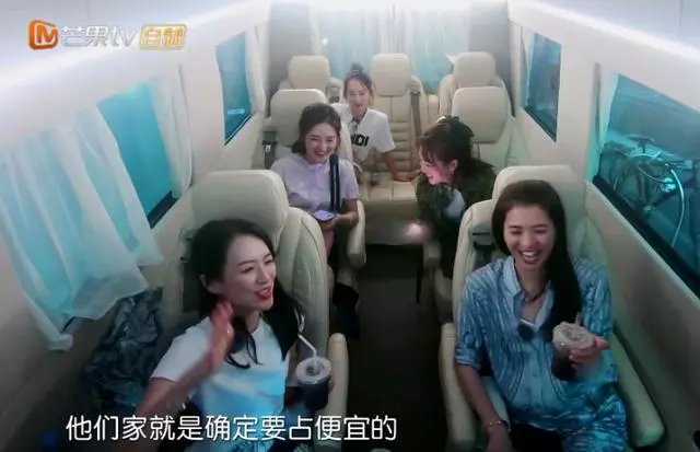 谢娜|他们又被群嘲了?