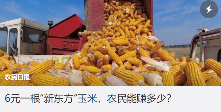 ie|新东方玉米一根卖6块？网友质疑太贵，主播回应