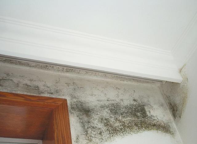 墙上渗水掉漆，怎么办？要分成2个部位，每个部位都有4点要注意