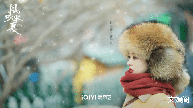 滤镜|35岁赵丽颖脱离滤镜出演农村女企业家,扯下多少美颜女“遮羞布”