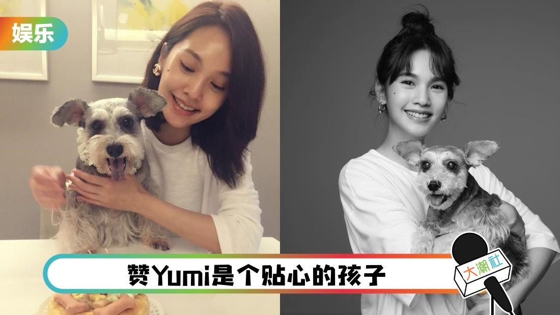 杨丞琳|杨丞琳的17年爱犬Yumi离世,悲痛发长文自责:我做得不够好!