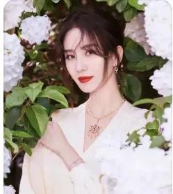 林志玲|肖战，王俊凯马思纯，陈飞宇，倪妮，刘诗诗 - 扒叔爆料回复帖