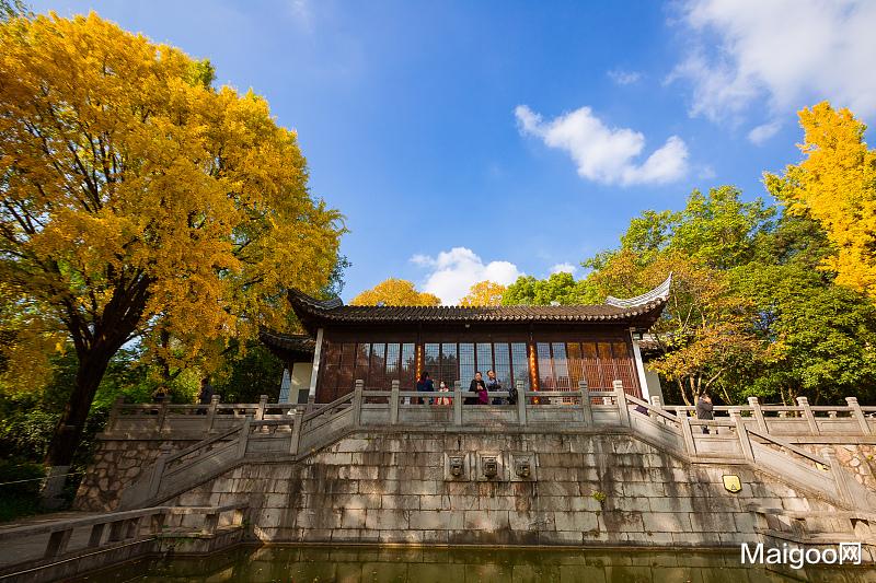 绵阳|南京十大著名城市公园 南京最美的公园盘点