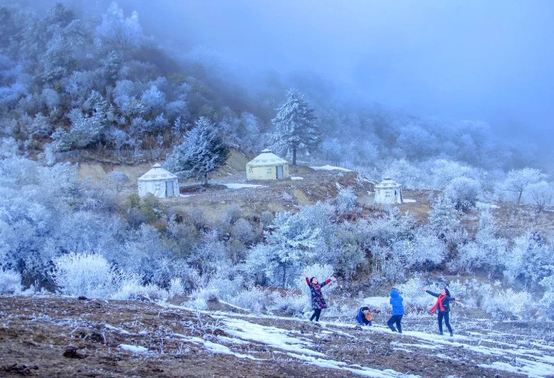 汶川|上榜！捷报频传冬日暖，无忧汶川有“喜”来报