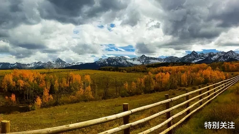 提醒爱喝粥的朋友,深秋牢记“2喝2不喝”,早点知道自己受益