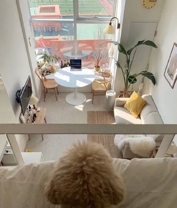 这套小户型loft公寓太令人向往了,功能齐全又敞亮,一个人住超赞