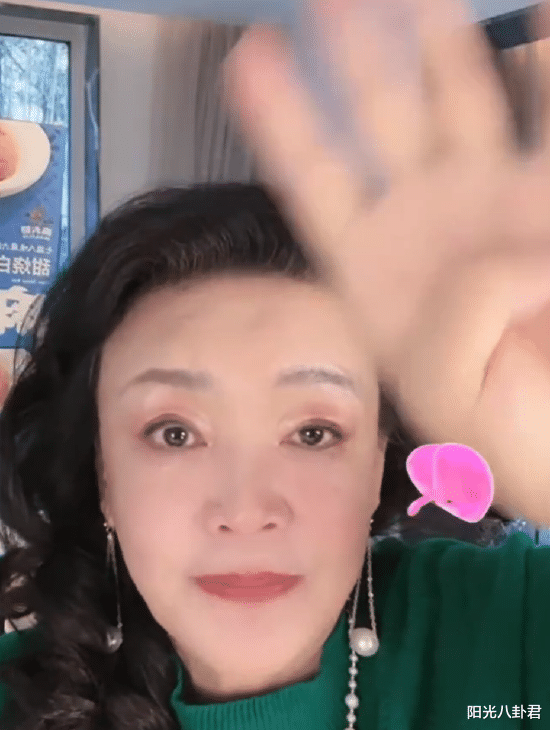 大S|吴佩慈帮腔暴出多年谎言，大S孕前就有癫痫史，汪小菲却不知情？