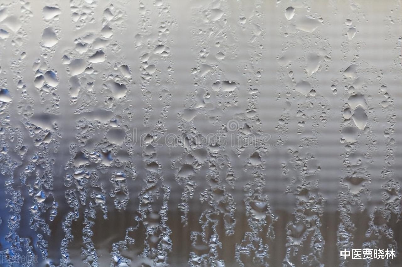 祛湿|祛湿不当能伤气血!中医教你正确排湿原则,体内无湿,百病难寻