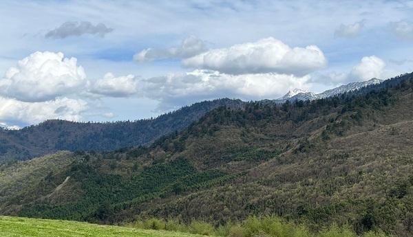 四川省|四川又一避暑胜地走红，风格小众景色讨喜，网友：确实不错