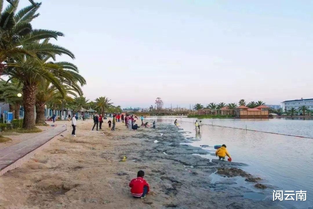 携程|昆明周边露营地盘点:森林草甸、高山牧场、热浪沙滩,不愁没去处