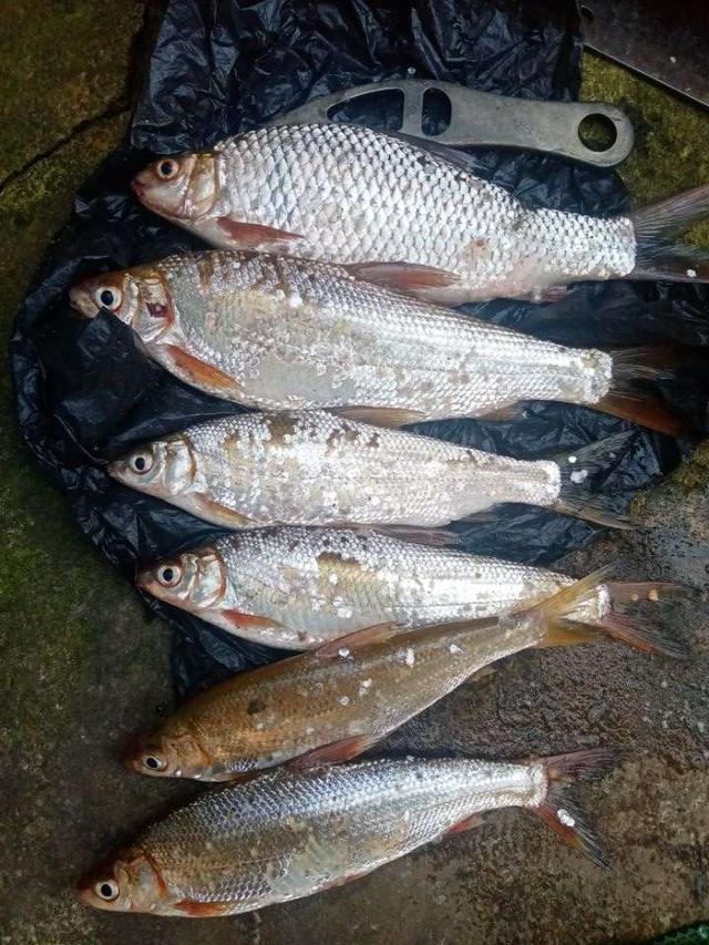 |【作钓报告】2022钓鱼之路已走完,2023开拓新的天地解锁新鱼种