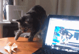 租的房子不隔音是一种什么样的体验?看完网友的评论,笑岔气了