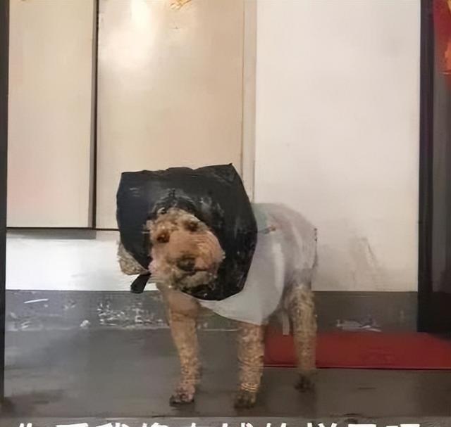 励志|“老板说，努力工作受益的是员工自己”：听君一席话，多打十年工