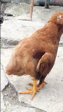 00后|路过程序员办公室,突然看见这画面,忍不住用手机拍了下来,哈哈哈哈~