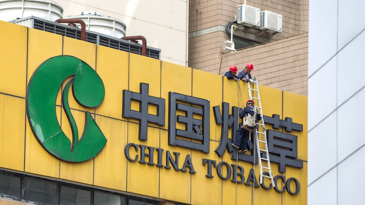 鹅鸭杀|上半年开始，中国烟草开启招聘！看看综合薪资能拿多少？