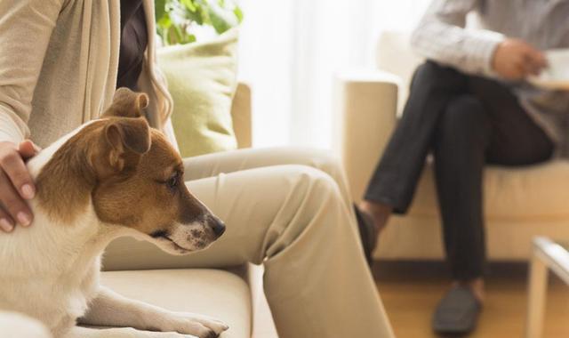 贾平凹|贾平凹：越是外表光鲜的女人，越邋遢，背地里越见不得人