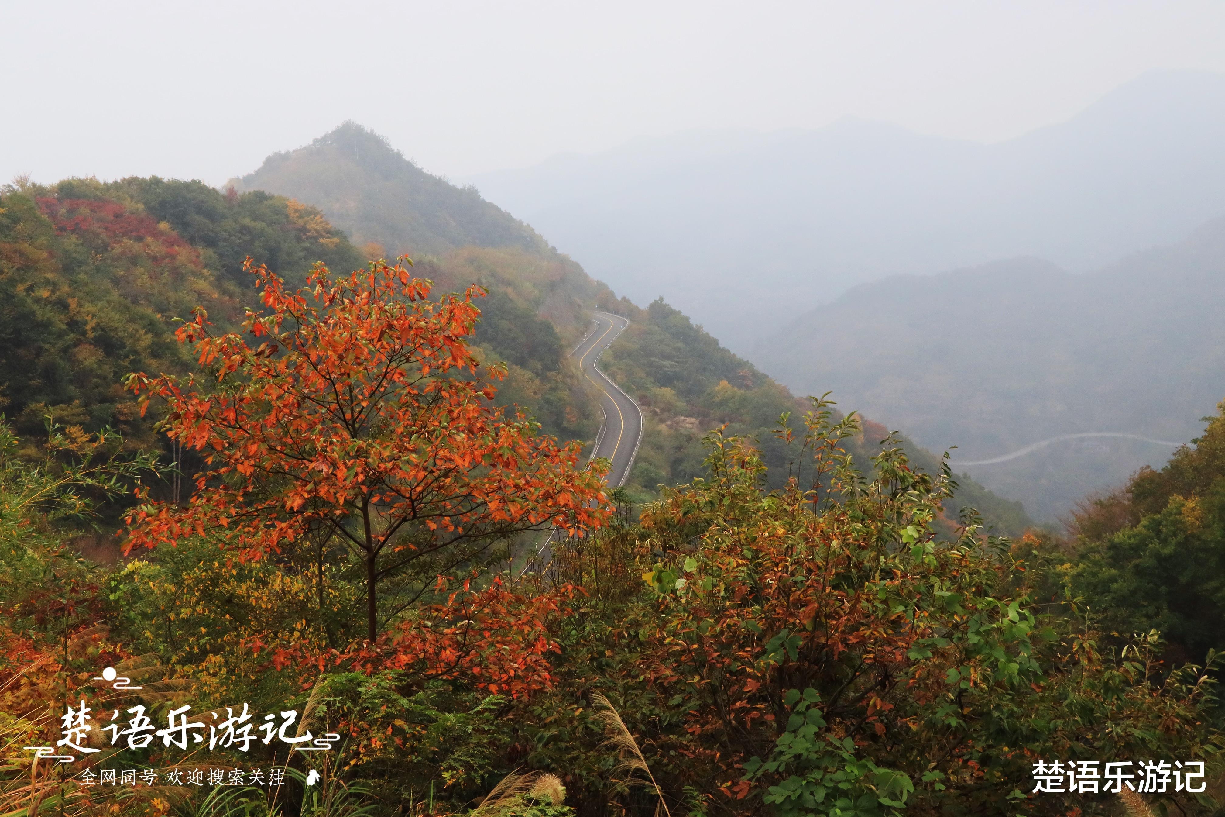 浙江省|藏在浙江雪窦山下的古村，因美龄小道而出名，秋色如画却少有人来