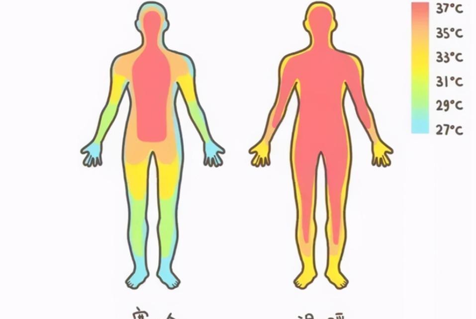 回不去的37度!人体温度在不断凉凉,这究竟意味着什么?