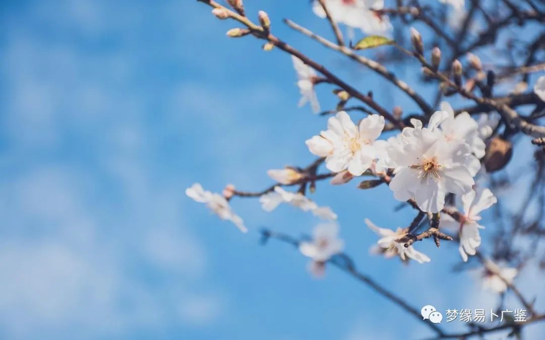 八字命理|八字命理：八字如何断职业