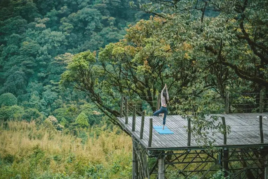 乌镇戏剧节|会员单位丨云南省红河哈尼族彝族自治州哈尼梯田森林康养基地
