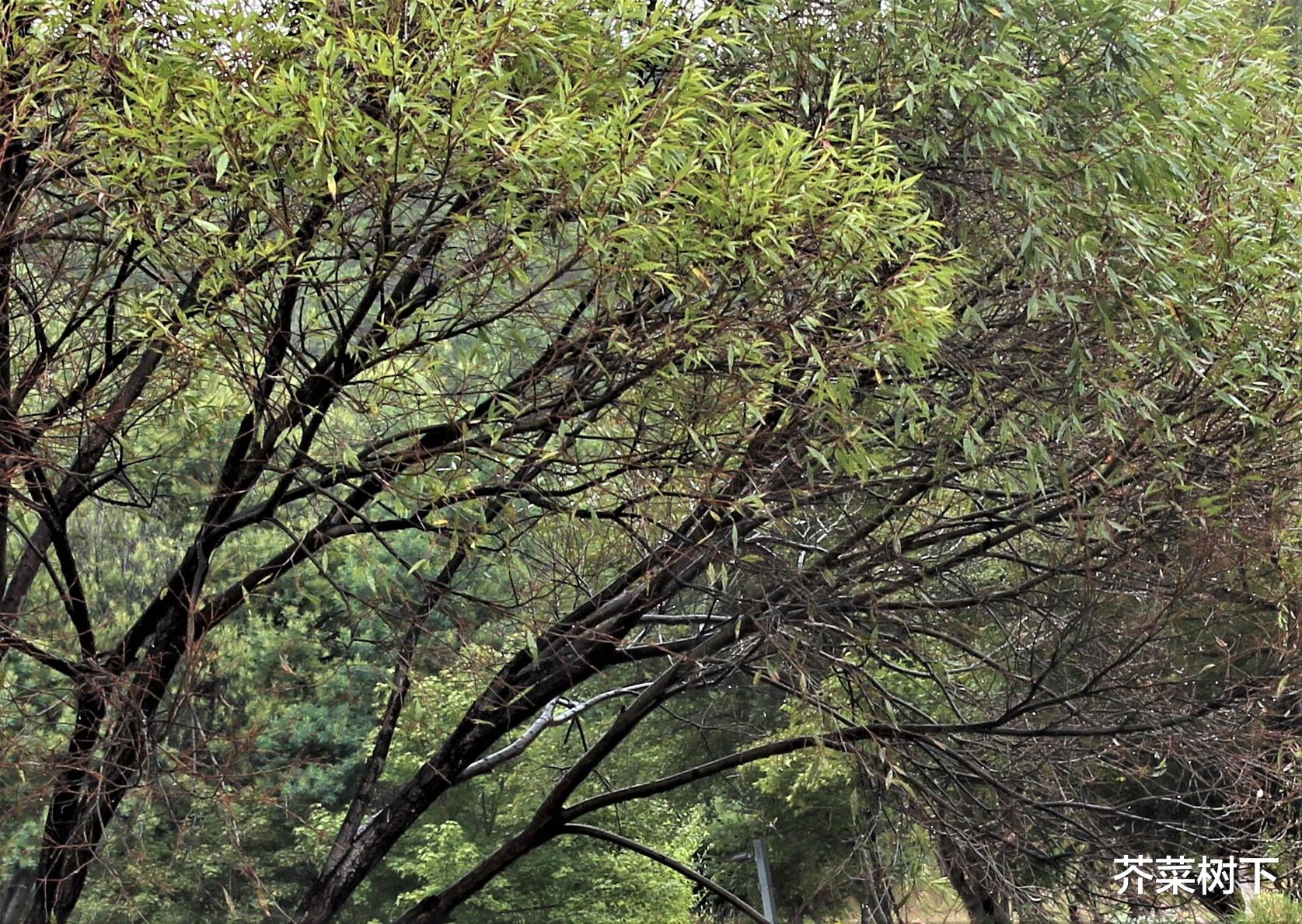 教学|总喜欢抱怨?要么离远点