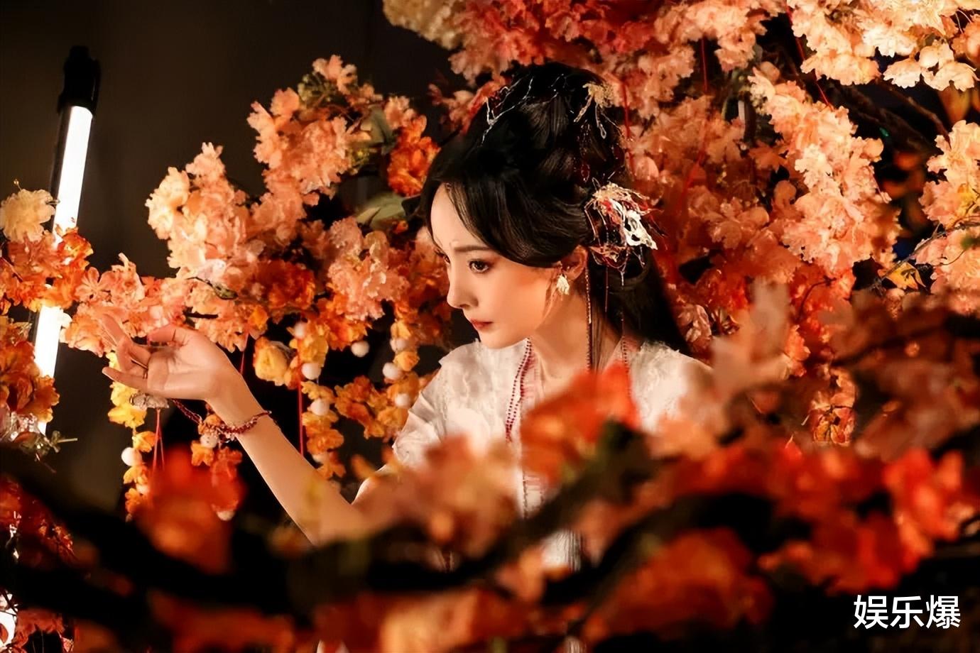 龚俊|继刘诗诗粉丝后,杨幂龚俊粉丝对《狐妖》番位不满,起因让人惊讶